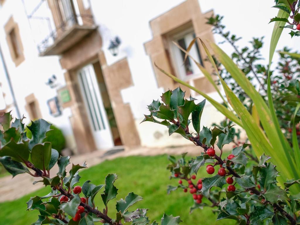 Casa Rural El Balcon De Tera Guest House Exterior photo